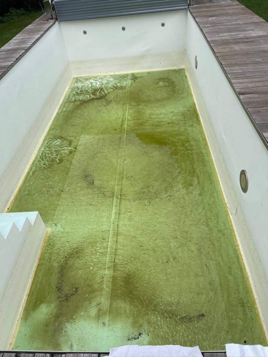 Pool mit grünem Algenwasser vor der Reinigung
